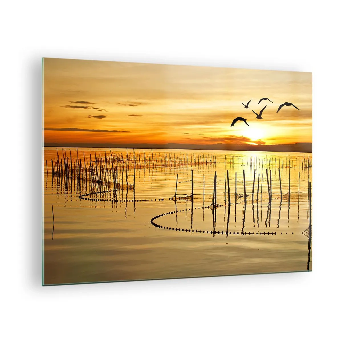 Impression sur verre - Image sur verre - Coucher de soleil sur un lac avec des oiseaux et des filets de pêche - 70x50cm - À la pêche - Décoration murale moderne pour le salon et la chambre ARTTOR