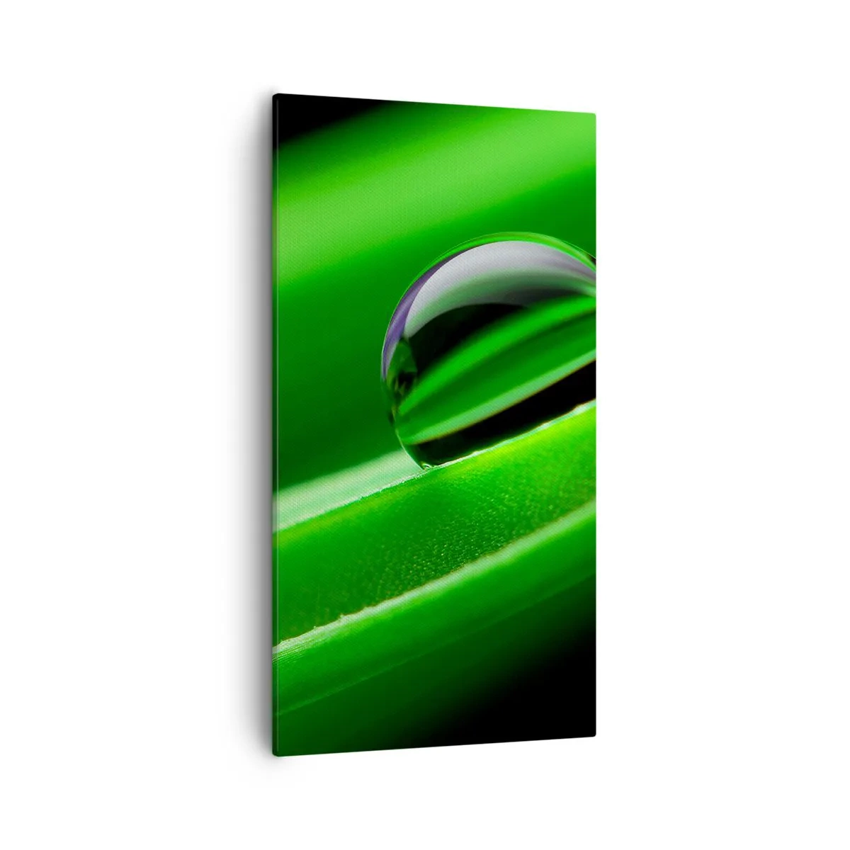 Impression sur toile - Image sur toile - La vie de près - 55x100 cm