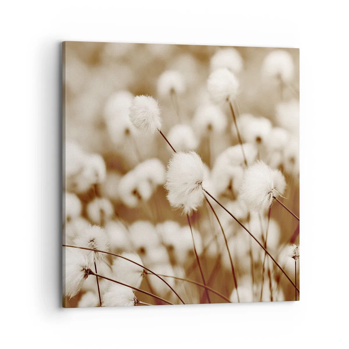 Impression sur toile - Image sur toile - Tige moelleuse - 70x70 cm