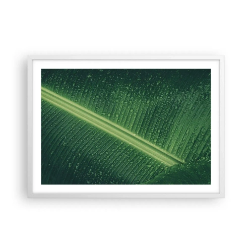 Affiche dans un cadre blanc - Poster - Structure de vert - 70x50 cm