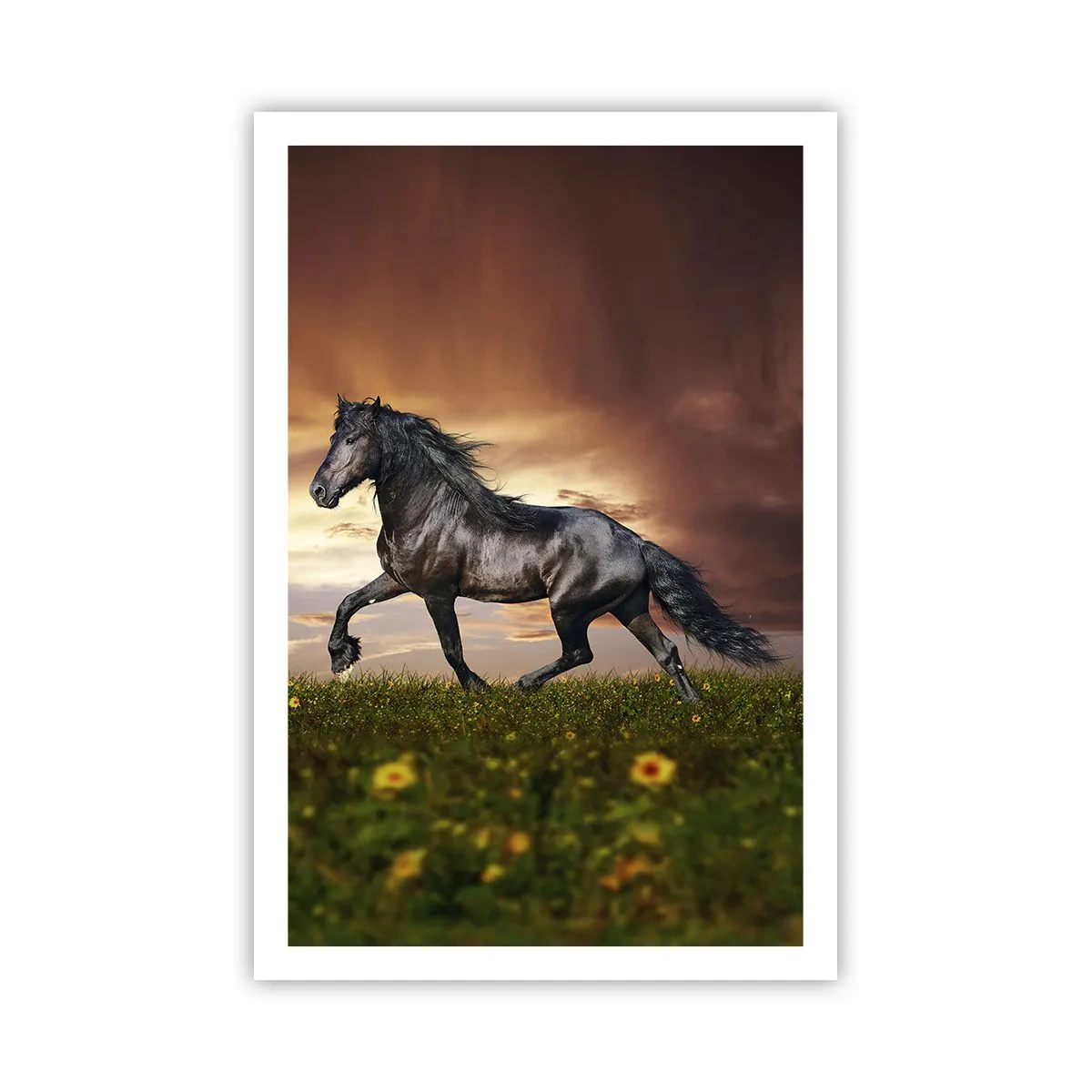 Affiche - Poster - Livres noirs - 61x91 cm