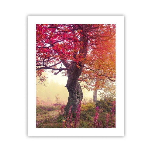 Affiche - Poster - Frénésie de floraison - 40x50 cm