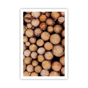 Affiche - Poster - Nouveau commencement - 61x91 cm