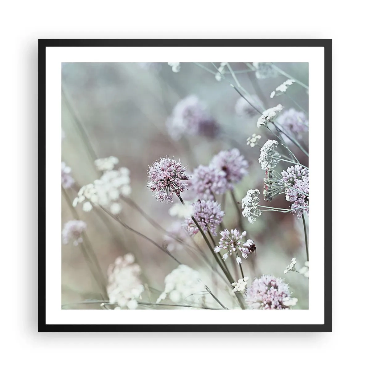 Affiche dans un cadre noir - Poster - Herbes douces en filigrane - 60x60 cm