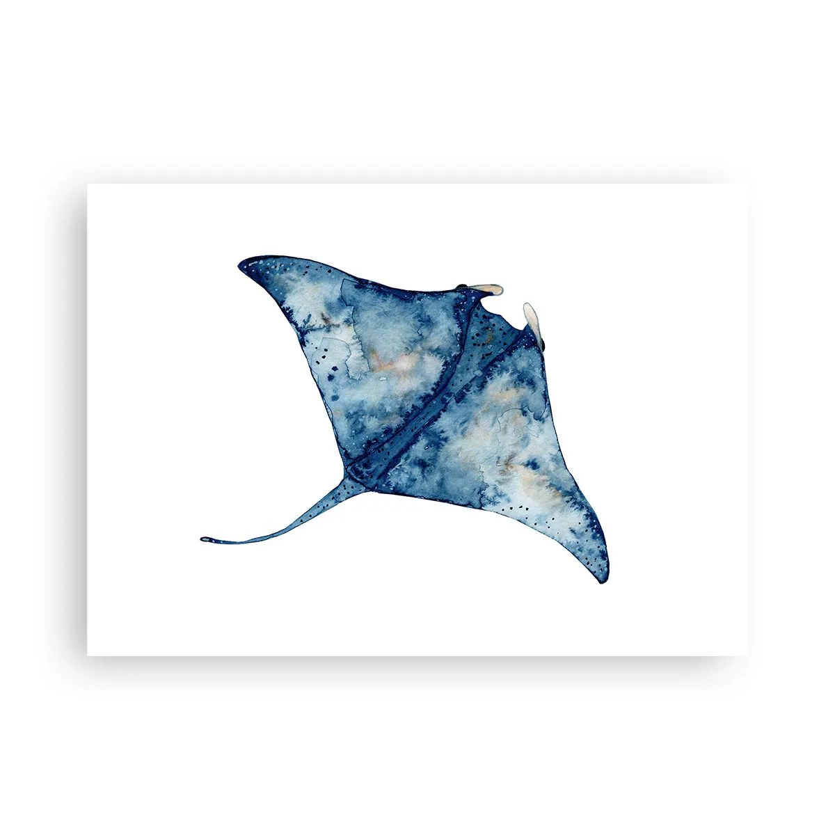 Affiche - Poster - La vie en bleu - 70x50 cm