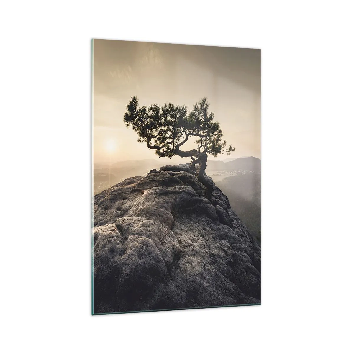 Impression sur verre - Image sur verre - Un arbre solitaire sur un pic rocheux au soleil - 70x100cm - La vie gagne toujours - Décoration murale moderne pour le salon et la chambre ARTTOR