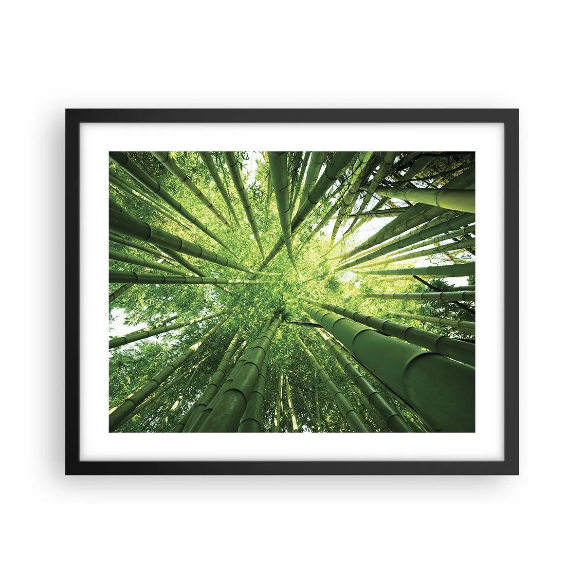 Affiche dans un cadre noir - Poster - Dans une bambouseraie - 50x40 cm
