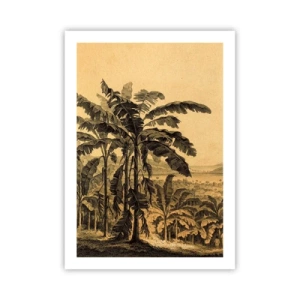 Affiche - Poster - Illustration de palmiers sur fond de paysage tropical - 50x70cm - Dans un climat colonial - Décoration murale moderne pour le salon et la chambre ARTTOR