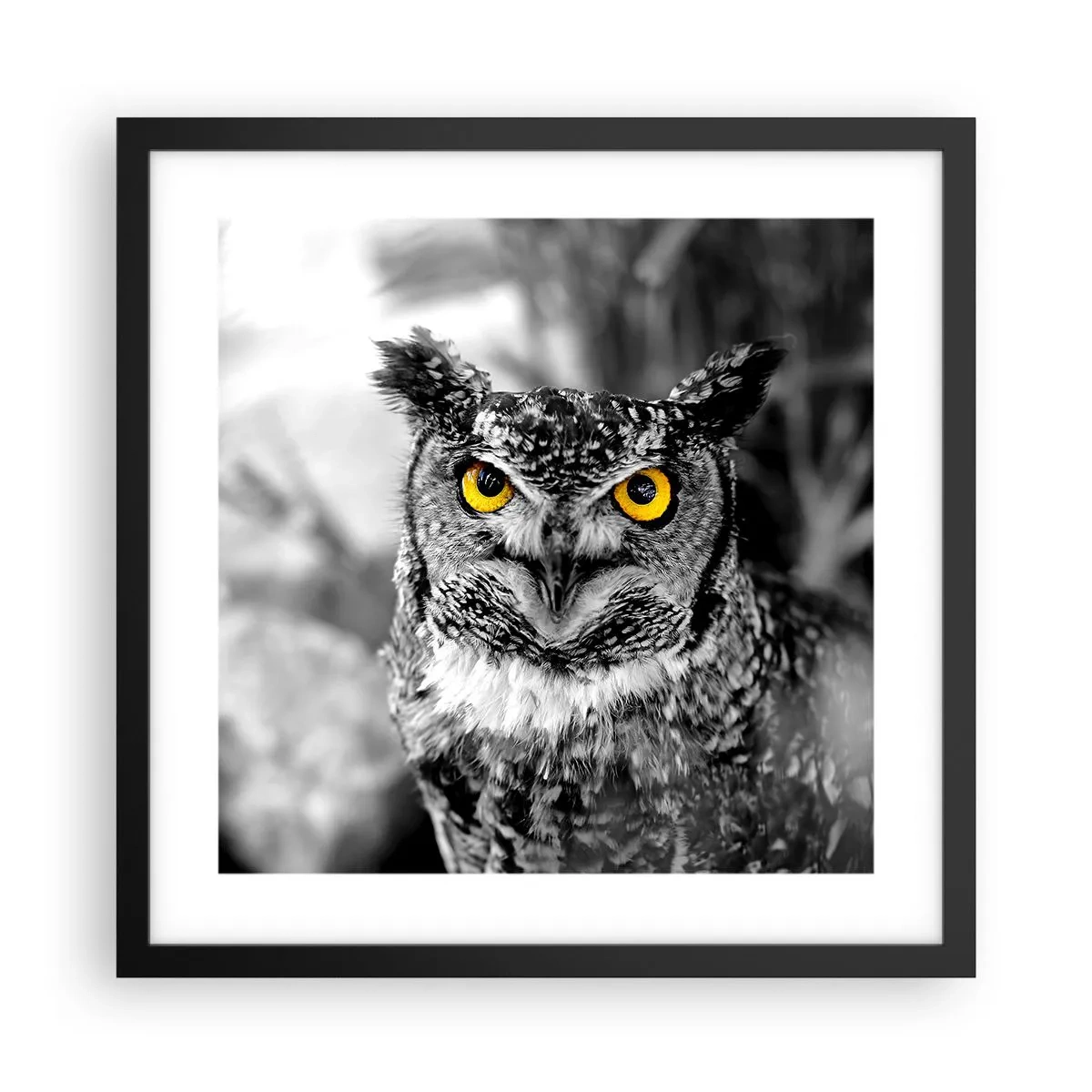 Affiche dans un cadre noir - Poster - Rien ne se cachera - 40x40 cm