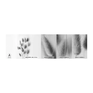 Échantillon de Papier Peint Premium Sand - Son herbe duveteuse - Herbe, Noir et blanc, Fleurs - 100x30 cm