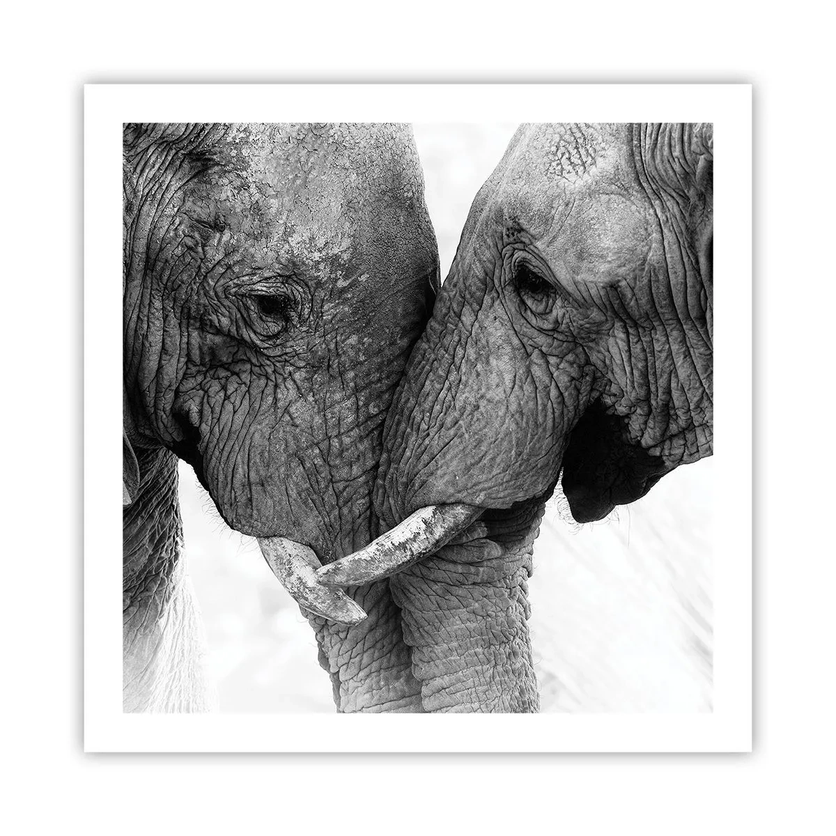 Affiche - Poster - Confession sincère - 60x60 cm