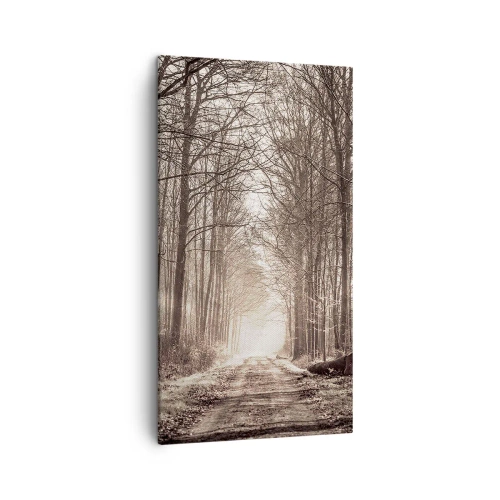 Impression sur toile - Image sur toile - Cathédrale de la forêt - 45x80 cm