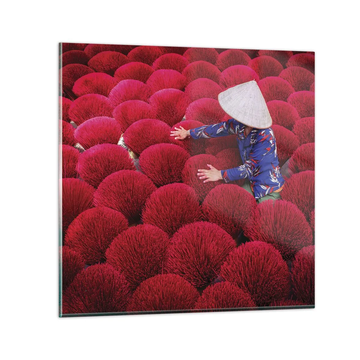 Impression sur verre - Image sur verre - Dans un champ de riz - 60x60 cm