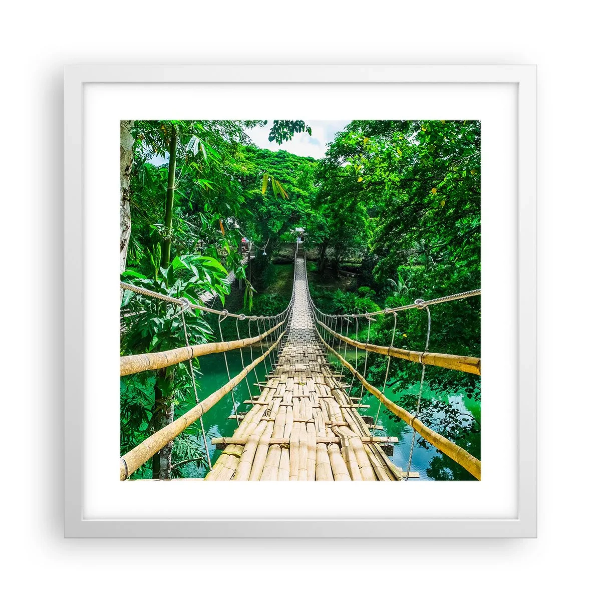Affiche dans un cadre blanc - Poster - Pont de singe en pleine nature - 40x40 cm