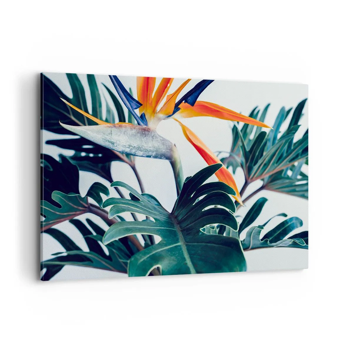 Impression sur toile - Image sur toile - Fleur de Strelitzia entourée de feuilles sous une lumière vive - 120x80cm - Le buisson oiseaux - Décoration murale moderne pour le salon et la chambre ARTTOR