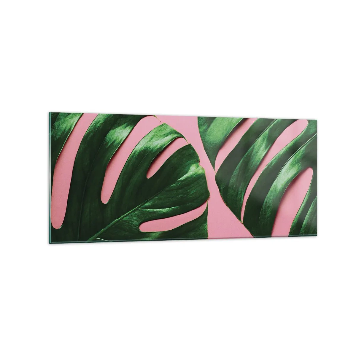 Impression sur verre - Image sur verre - Feuilles de monstera vertes sur fond rose - 120x50cm - Rendez-vous vert - Décoration murale moderne pour le salon et la chambre ARTTOR