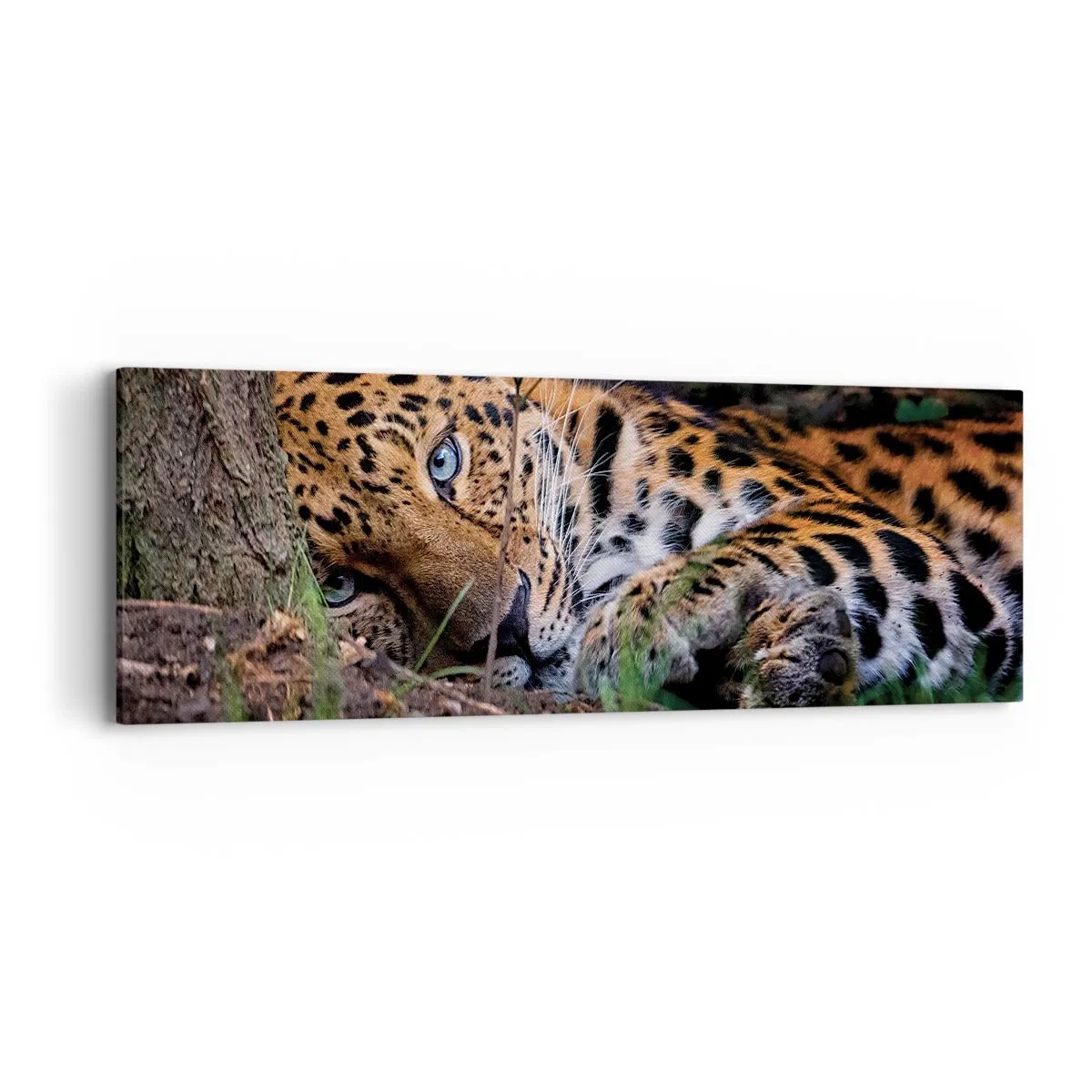 Impression sur toile - Image sur toile - Fais-moi confiance - 90x30 cm