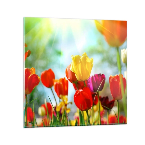 Impression sur verre - Image sur verre - Toutes les couleurs du soleil - 60x60 cm