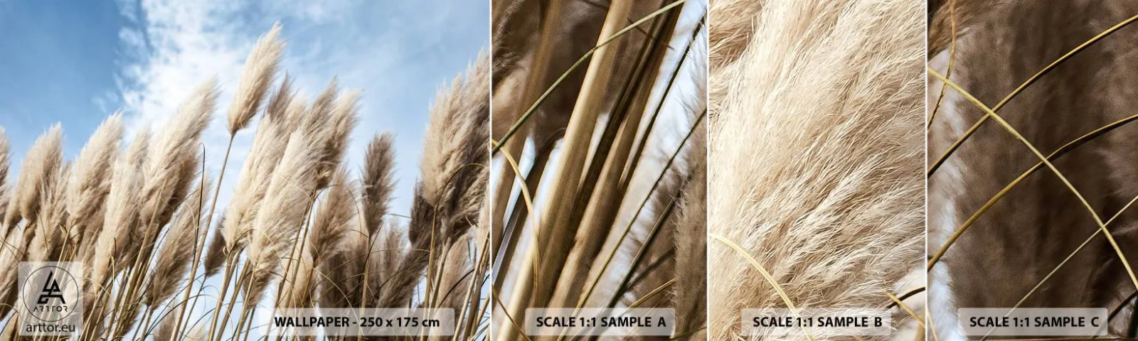 Échantillon de Papier Peint Autocollant Deluxe Sticker - Caresse ensoleillée et venteuse - Herbe de la Pampa, Nature, Bohème - 100x30 cm