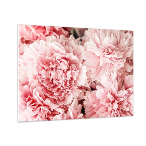 Impression sur verre - Image sur verre - Gros plan de pivoines roses en pleine floraison - 70x50cm - Rêve rose - Décoration murale moderne pour le salon et la chambre ARTTOR