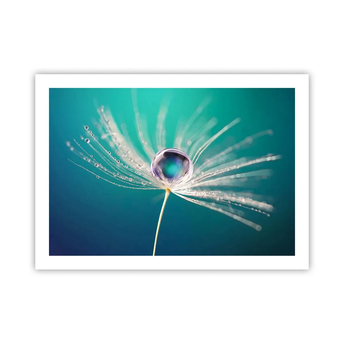 Affiche - Poster - Moment mystique - 70x50 cm