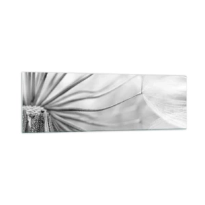 Impression sur verre - Image sur verre - Pissenlits délicats dans des tons noir et blanc - 160x50cm - Aigrette avant son envol - Décoration murale moderne pour le salon et la chambre ARTTOR