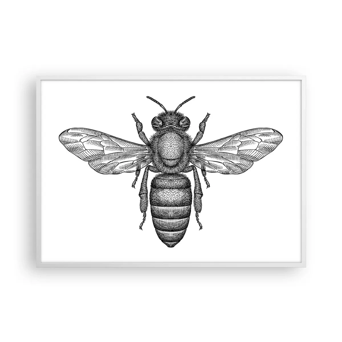 Affiche dans un cadre blanc - Poster - Portrait d'insecte - 100x70 cm