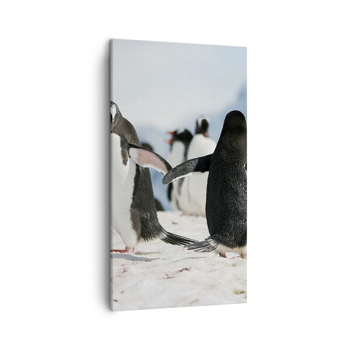 Impression sur toile - Image sur toile - Danser dans la neige - 45x80 cm