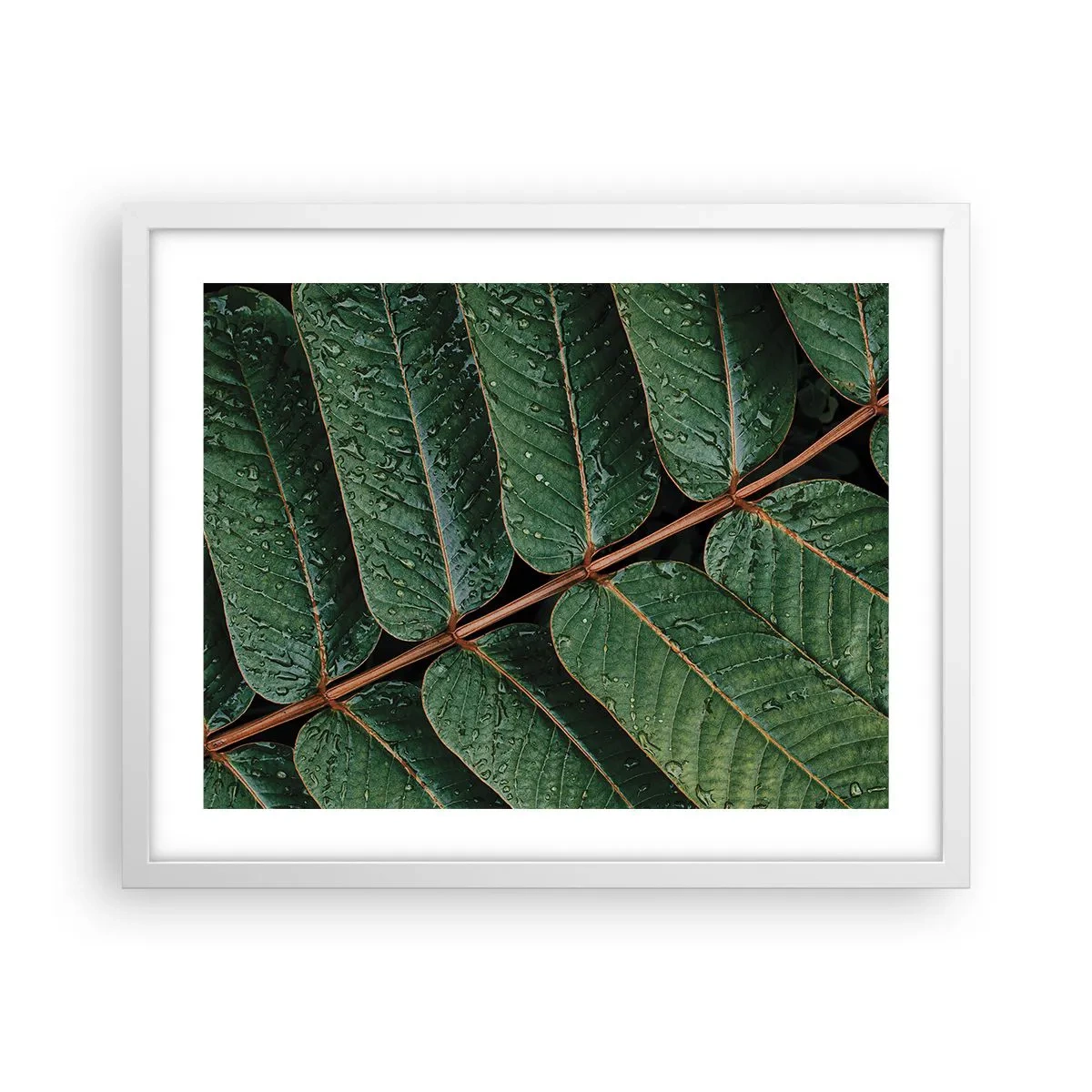 Affiche dans un cadre blanc - Poster - Au rythme de la verdure - 50x40 cm