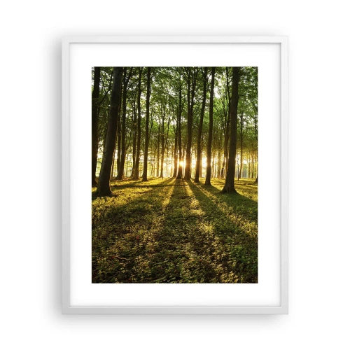 Affiche dans un cadre blanc - Poster - Toutes les photographies de printemps - 40x50 cm