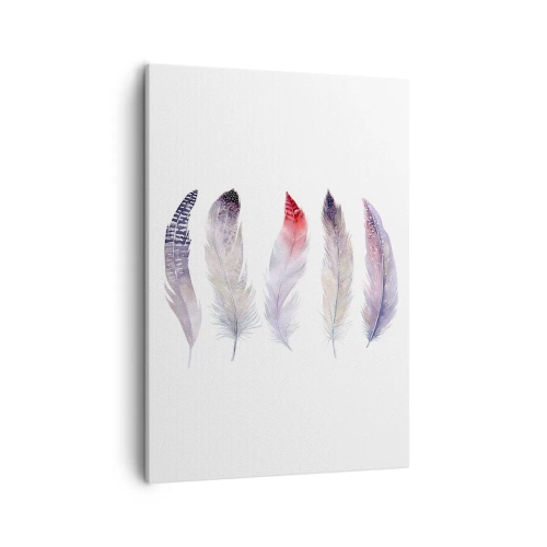 Impression sur toile - Image sur toile - Cinq plumes délicates aux tons pastel sur fond clair - 50x70cm - Délicat comme un brouillard multicolore - Décoration murale moderne pour le salon et la chambre ARTTOR