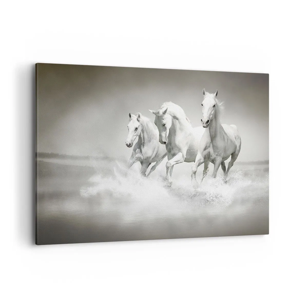 Impression sur toile - Image sur toile - Trois chevaux blancs galopant dans l'eau - 100x70cm - La folie blanche - Décoration murale moderne pour le salon et la chambre ARTTOR