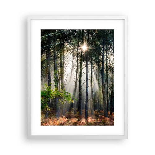 Affiche dans un cadre blanc - Poster - Une zone forestière - 40x50 cm