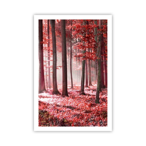 Affiche - Poster - Le rouge est tout aussi beau - 61x91 cm