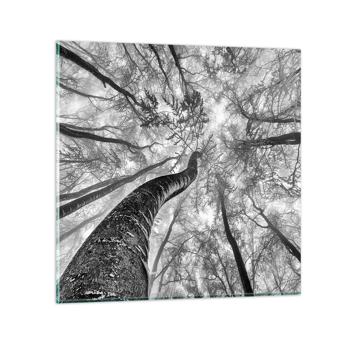 Impression sur verre - Image sur verre - Course vers la lumière - 70x70 cm