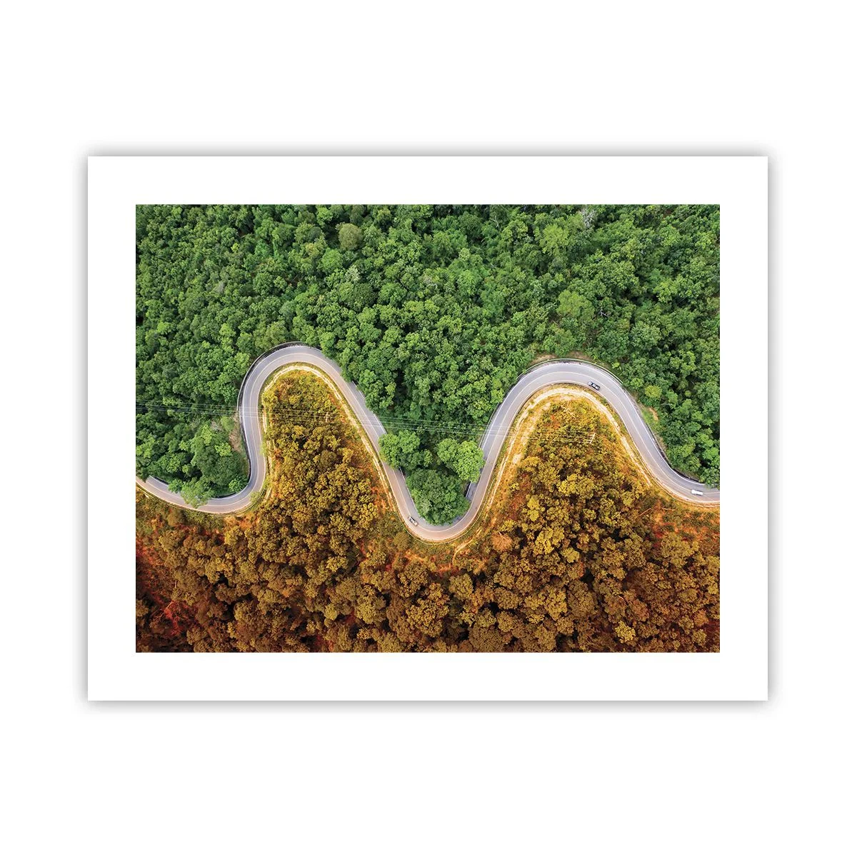 Affiche - Poster - Frontieres et differences - 50x40 cm