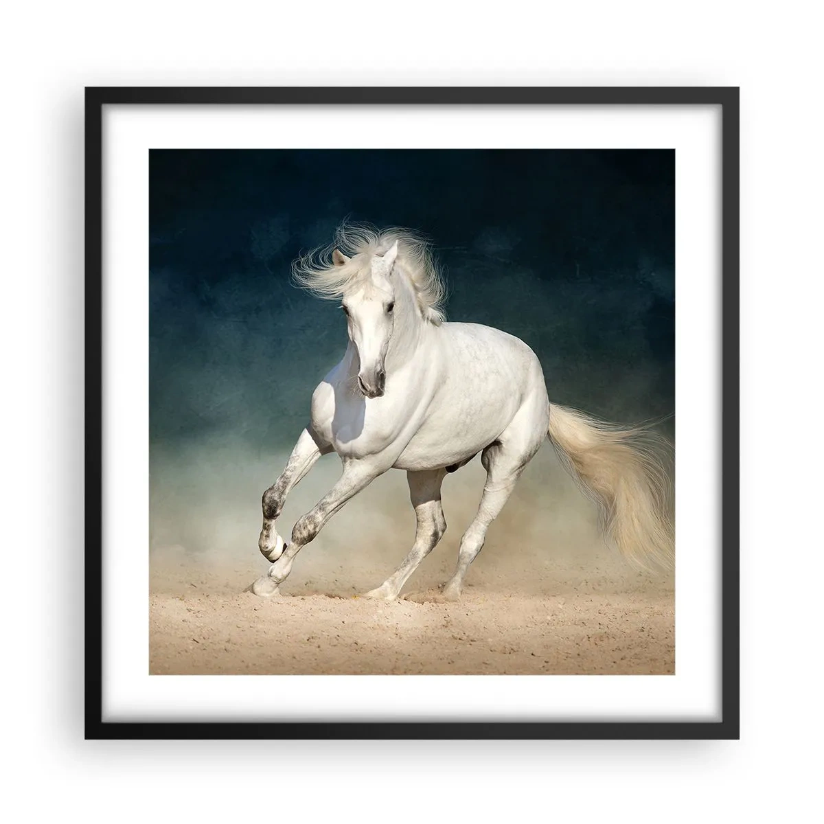 Affiche dans un cadre noir - Poster - La liberté à l'état pur - 50x50 cm