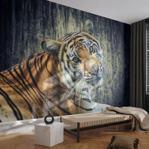 Papier peint sur mesure Autocollant Deluxe - Portrait dans les flots de lumière - Animaux, Tigre, Afrique