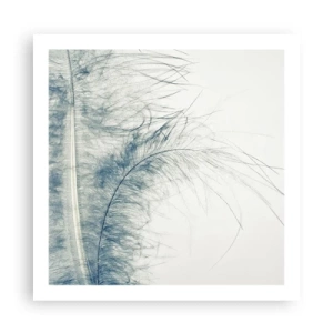 Affiche - Poster - Les sept natures - 60x60 cm