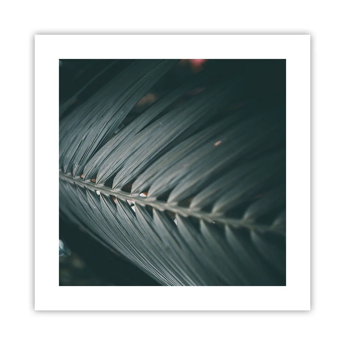 Affiche - Poster - Précision de la nature - 40x40 cm