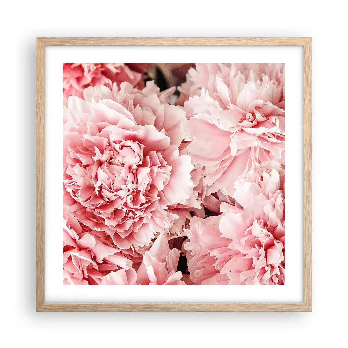 Affiche dans un chêne clair - Poster - Rêve rose - 50x50 cm