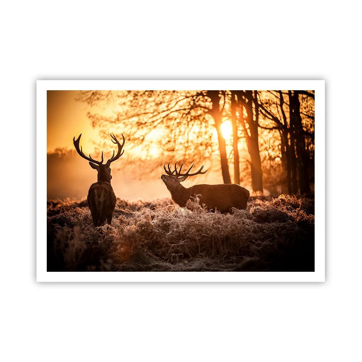 Affiche - Poster - Deux cerfs au coucher du soleil dans un paysage hivernal - 100x70cm - Le rêve d'un chasseur - Décoration murale moderne pour le salon et la chambre ARTTOR