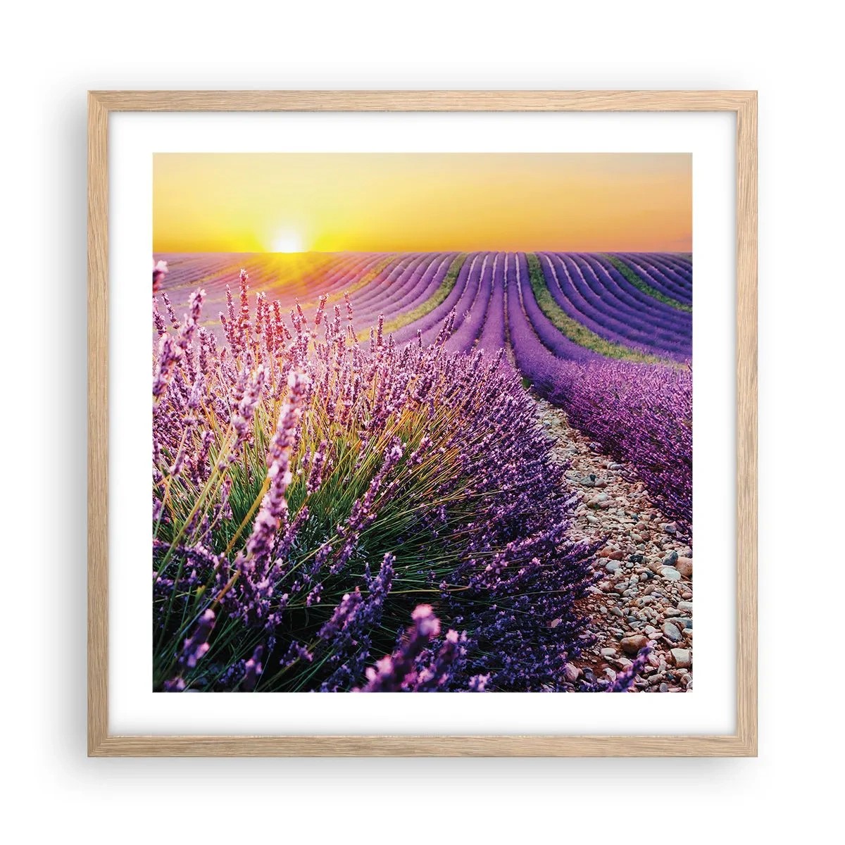 Affiche dans un chêne clair - Poster - Tige parfumée - 50x50 cm