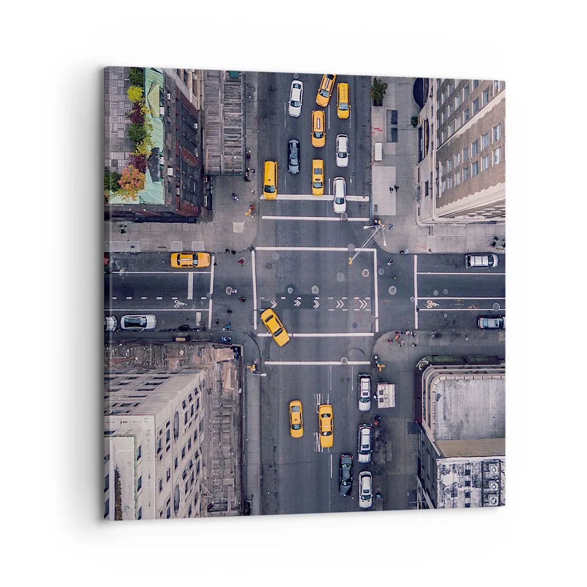 Impression sur toile - Image sur toile - Un choix simple - 60x60 cm