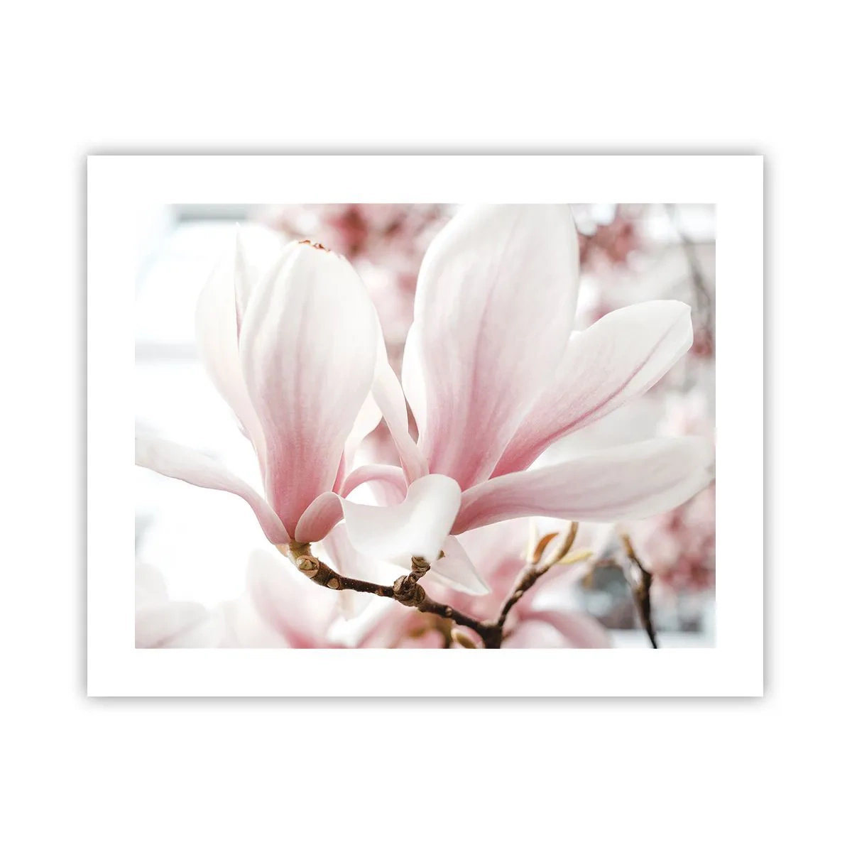 Affiche - Poster - Abondance de tendresse - 50x40 cm