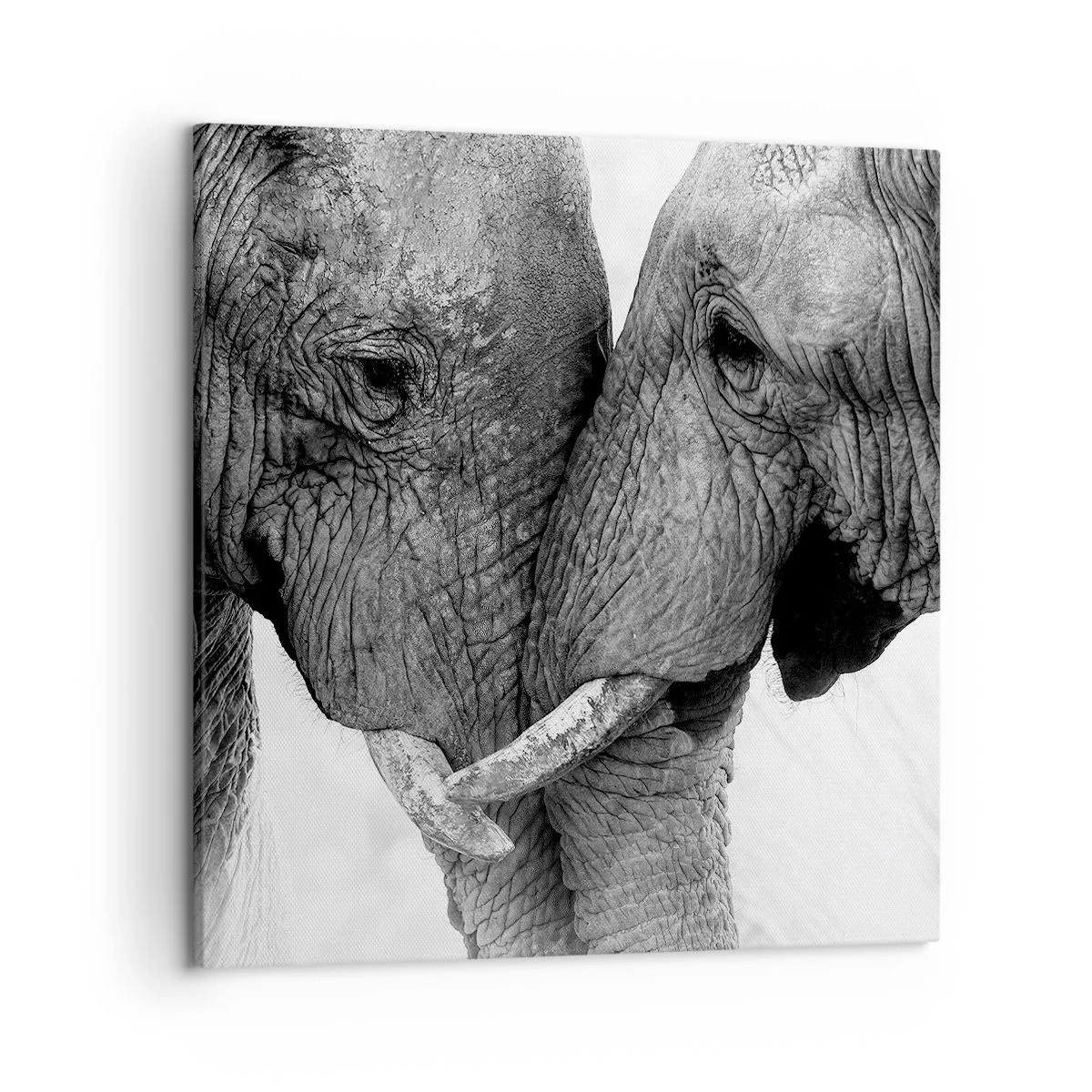 Impression sur toile - Image sur toile - Confession sincère - 50x50 cm