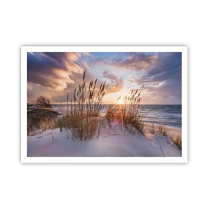 Affiche - Poster - Dunes avec des herbes sur fond de soleil couchant - 100x70cm - Salutations du soleil et du vent - Décoration murale moderne pour le salon et la chambre ARTTOR
