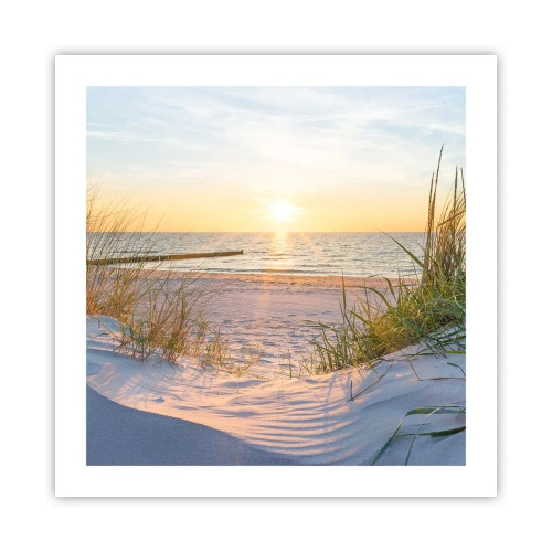 Affiche - Poster - Le bruit de la mer, le chant des oiseaux, une plage sauvage parmi les herbes… - 50x50 cm
