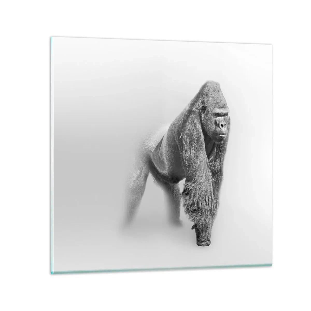 Impression sur verre - Image sur verre - Confiant en sa force - 70x70 cm