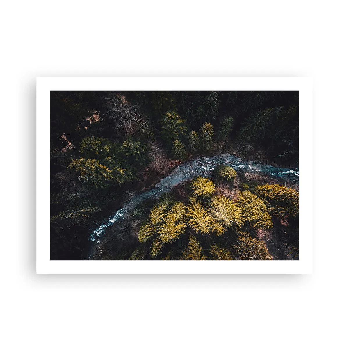 Affiche - Poster - De plus en plus vite - 70x50 cm